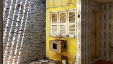 WhatsApp Image 2025-09-25 at 10.39.30 3.jpeg